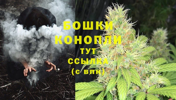 2c-b Зеленодольск